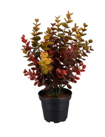 Eucalyptus - fargerik kunstig plante 30 cm